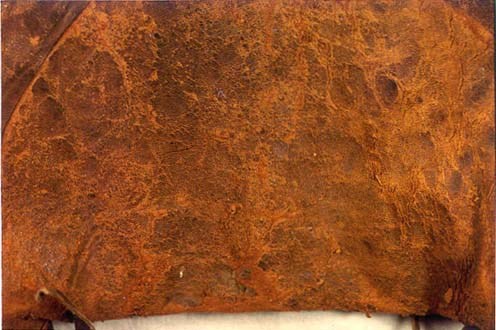 Red-rotten leather