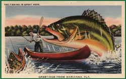 Florida's lure as a sport fishing destination