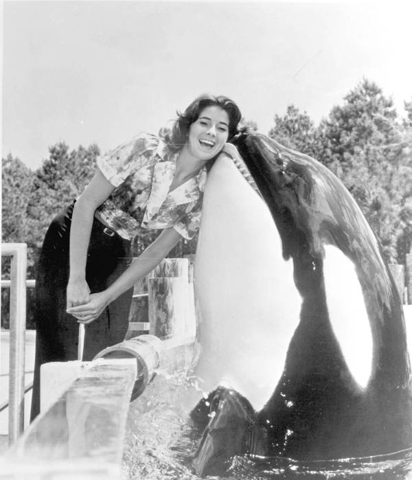 Killer whale "Shamu" at Sea World in Orlando, ca. 1980s