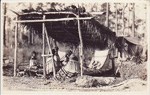 Seminole women and children under a temporary shelter in the Everglades, ca. 1920-1930
