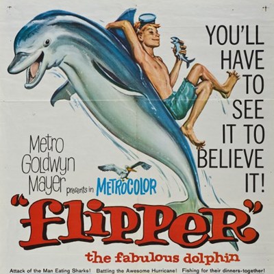 Flipper, 1963