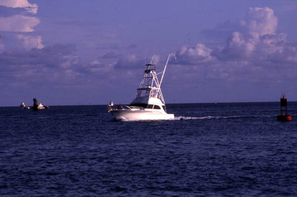 Sports Fishing Today