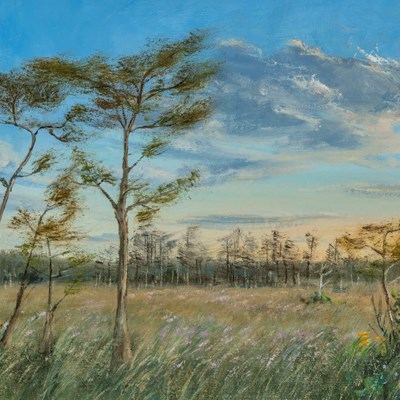 Apriletti, Linda (1962–)