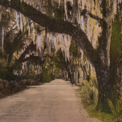 Esmond G. Barnhill (1894–1987)