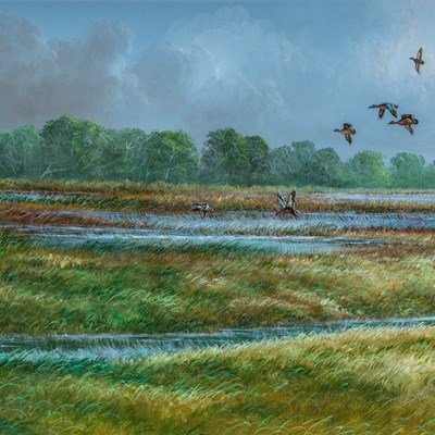 Butler, Robert (1943–2014)