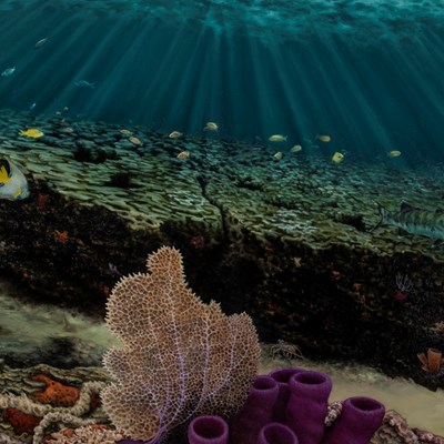 Feldmesser, Alan (1973–)