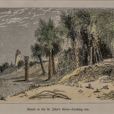 Fenn, Harry (1845–1911)