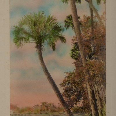 Harris, William (1868–1940)