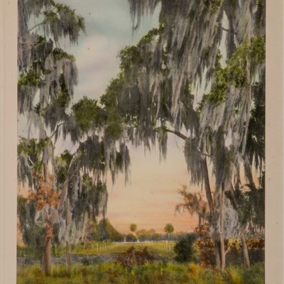 Harris, William (1868–1940)