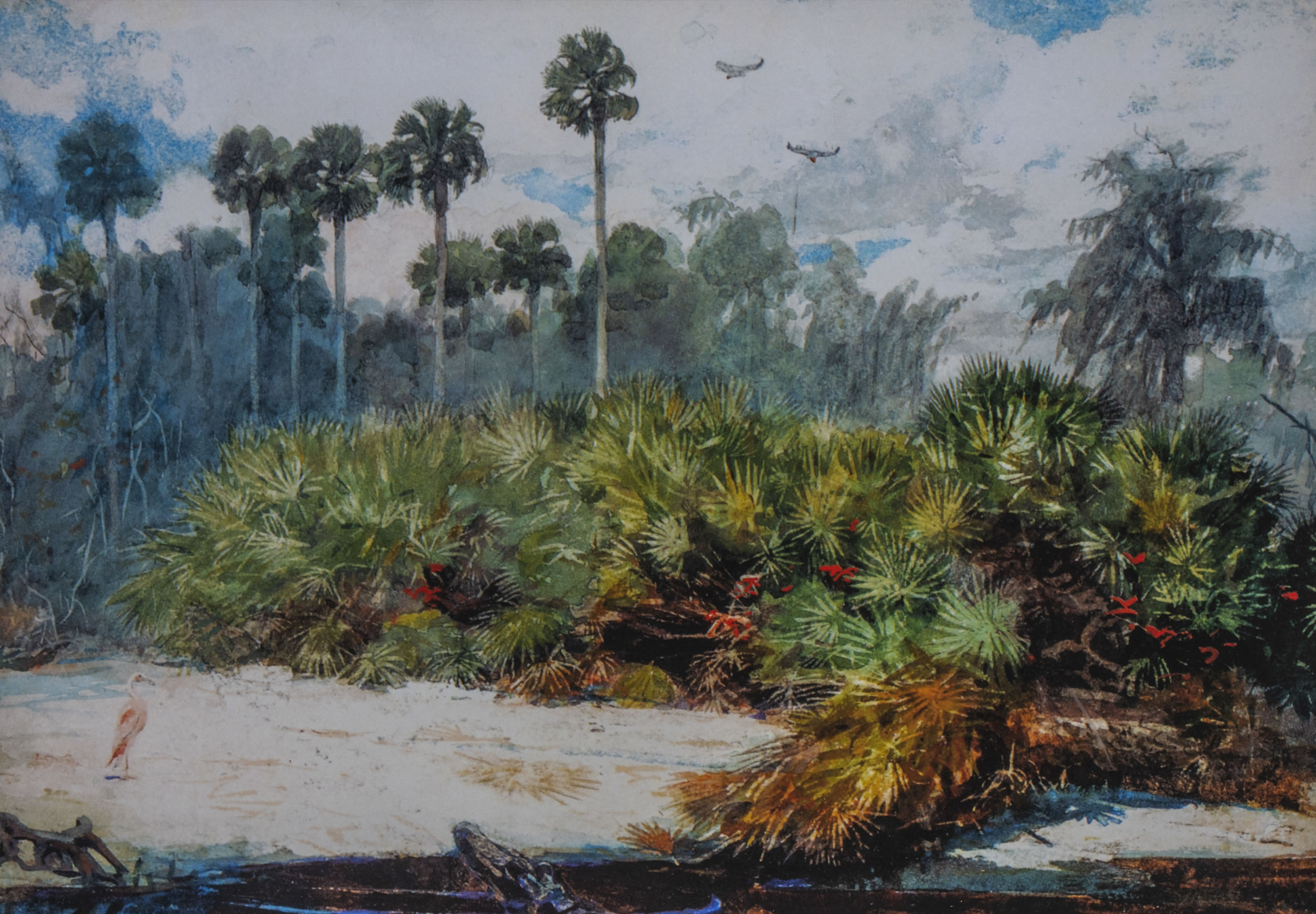 Homer, Winslow  (1836–1910)