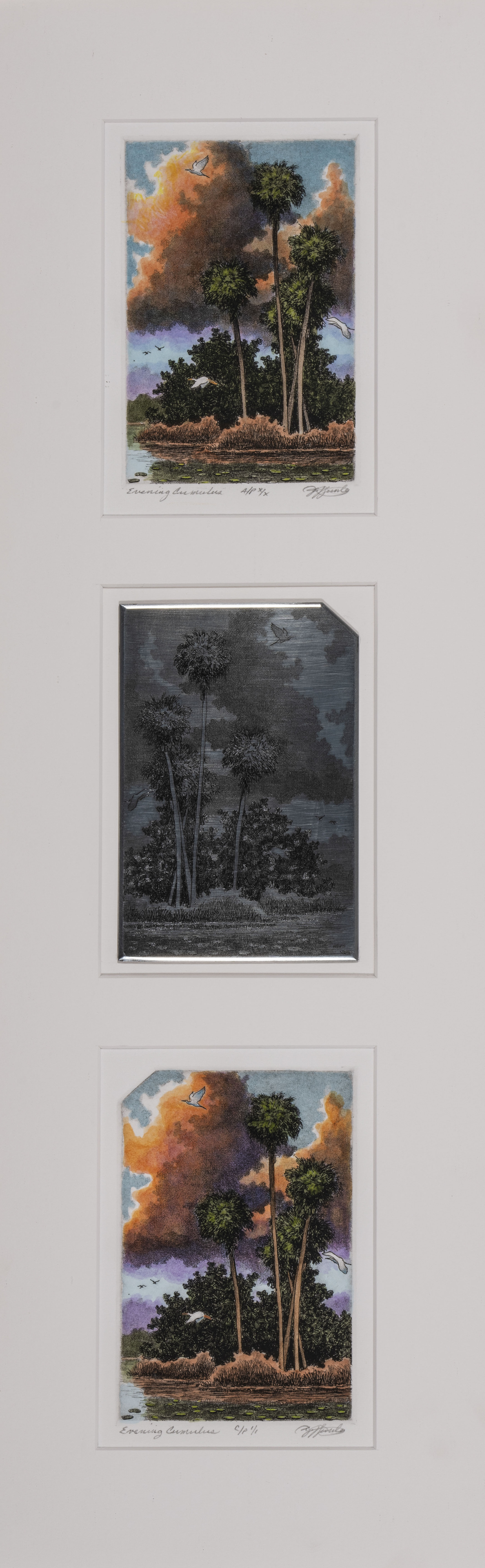 Hunter, David (1947–)