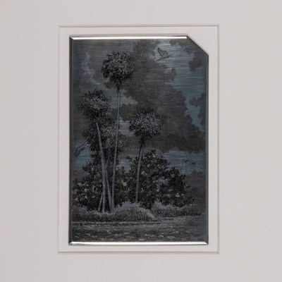 Hunter, David (1947–)