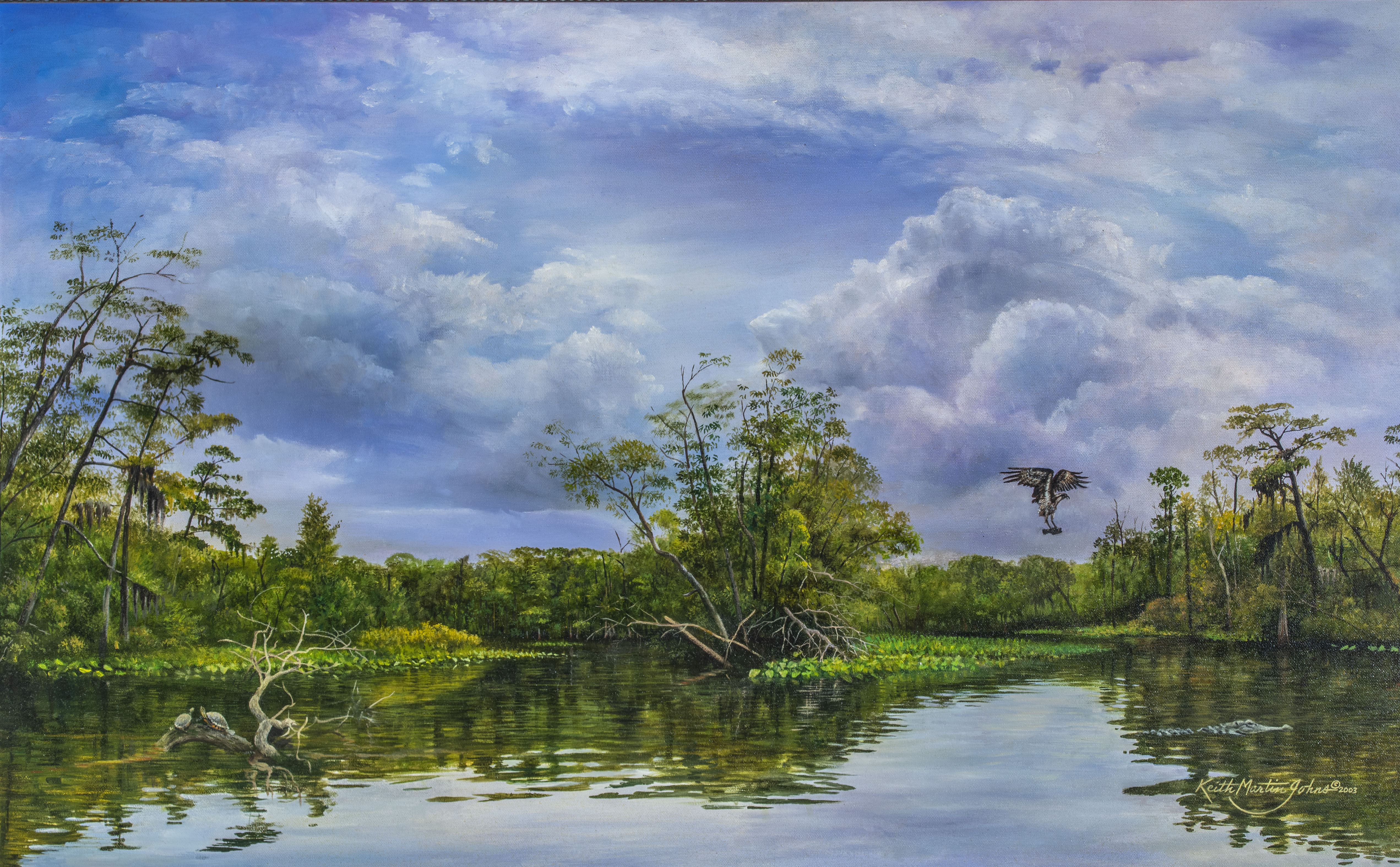 Johns, Keith Martin (1954−)