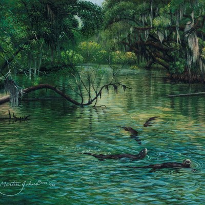 Johns, Keith Martin (1954–)