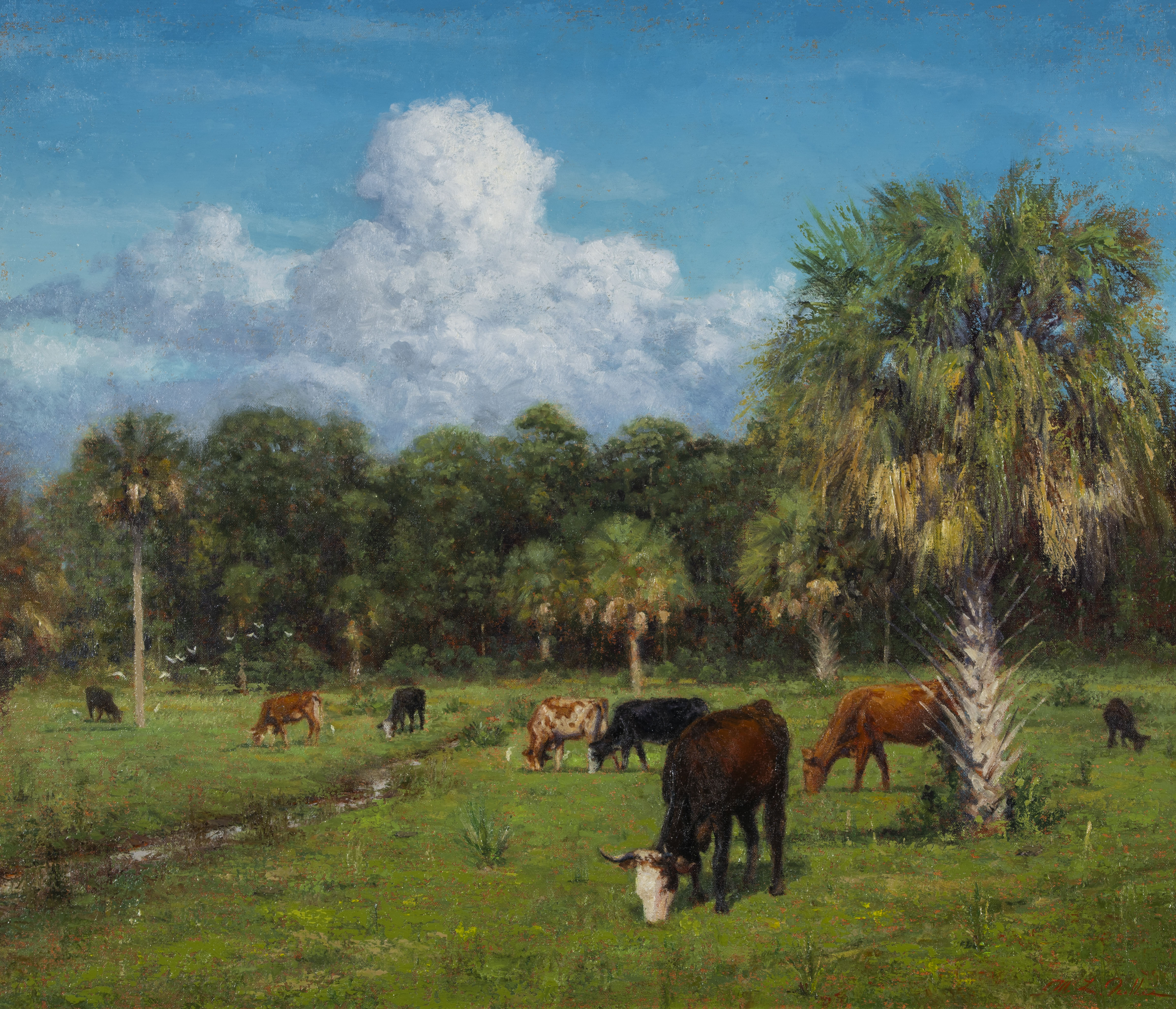 Kolbe, Mitch (1955–)