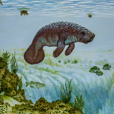 LaBree, Guy (1942−2015)