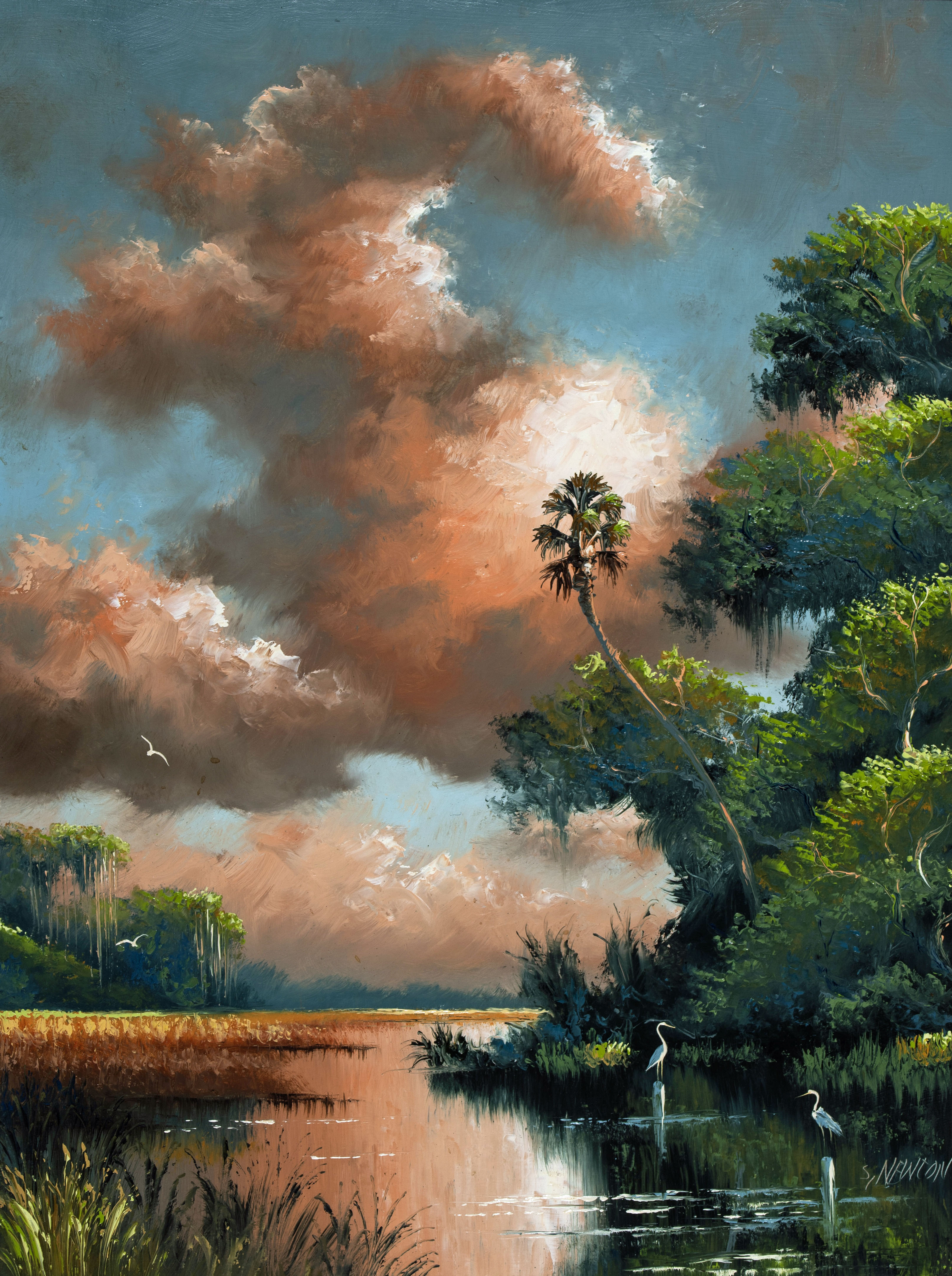 Newton, Sam (1948–)