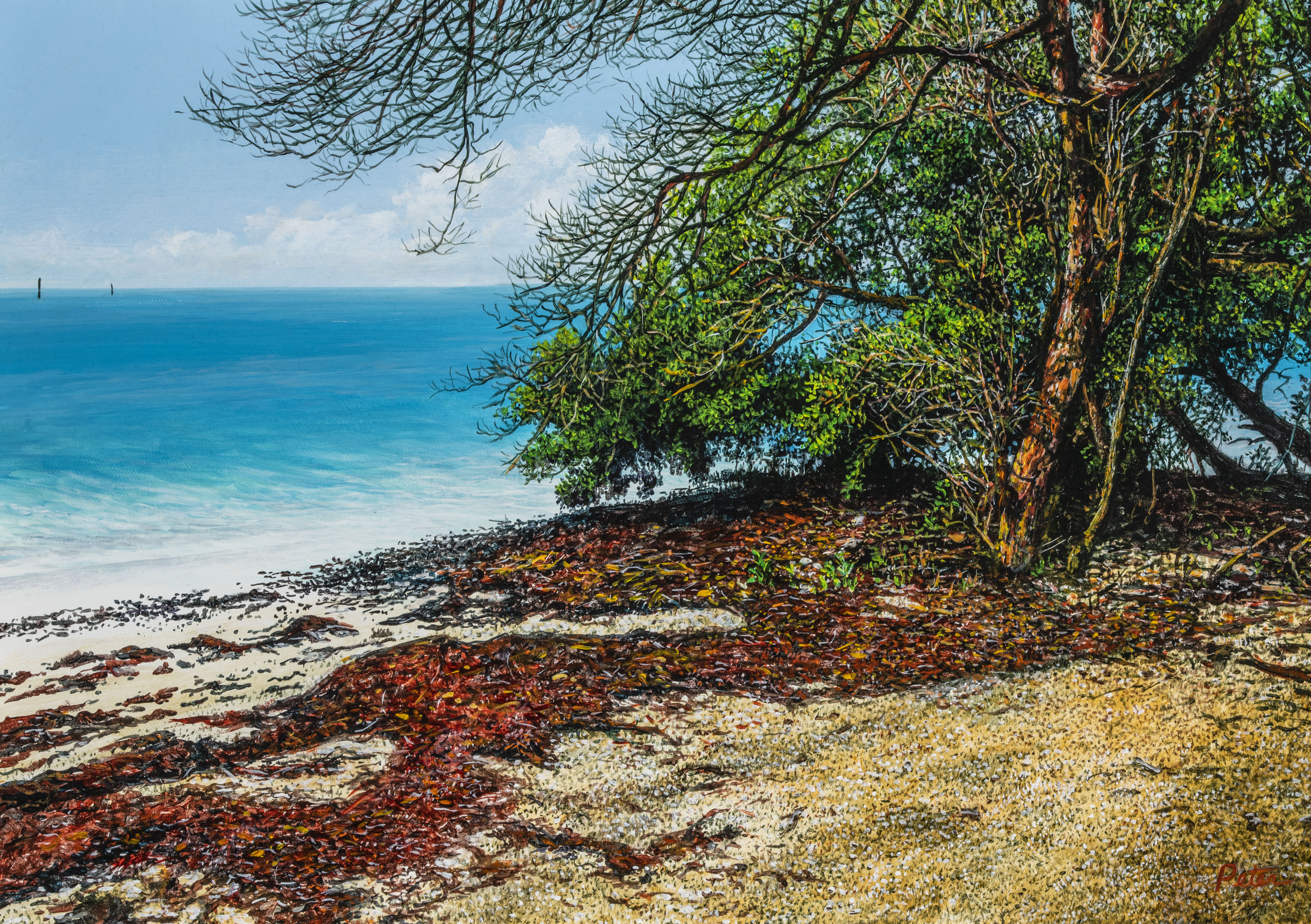 Peter, Henry (1947–)