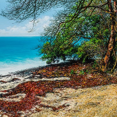 Peter, Henry (1947–)