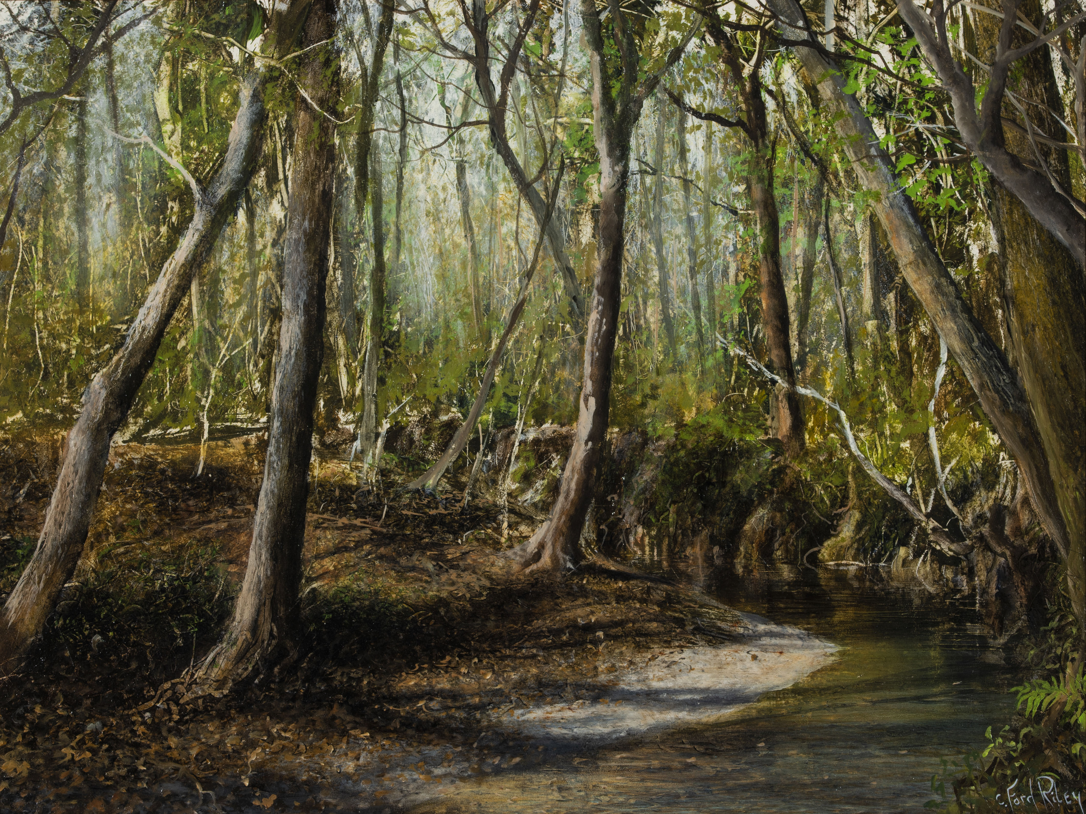 Riley, C. Ford  (1952–)