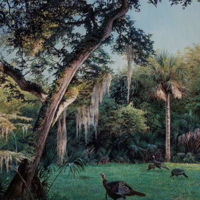 Rowe, Charles (1950–)