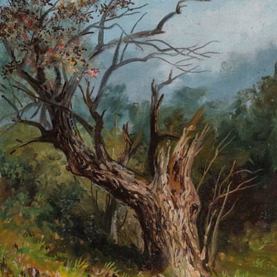 Smith, Xanthus Russell (1839–1929)