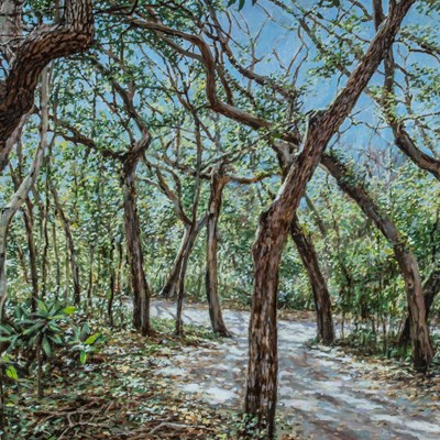 Tassey, John (1939–2018)