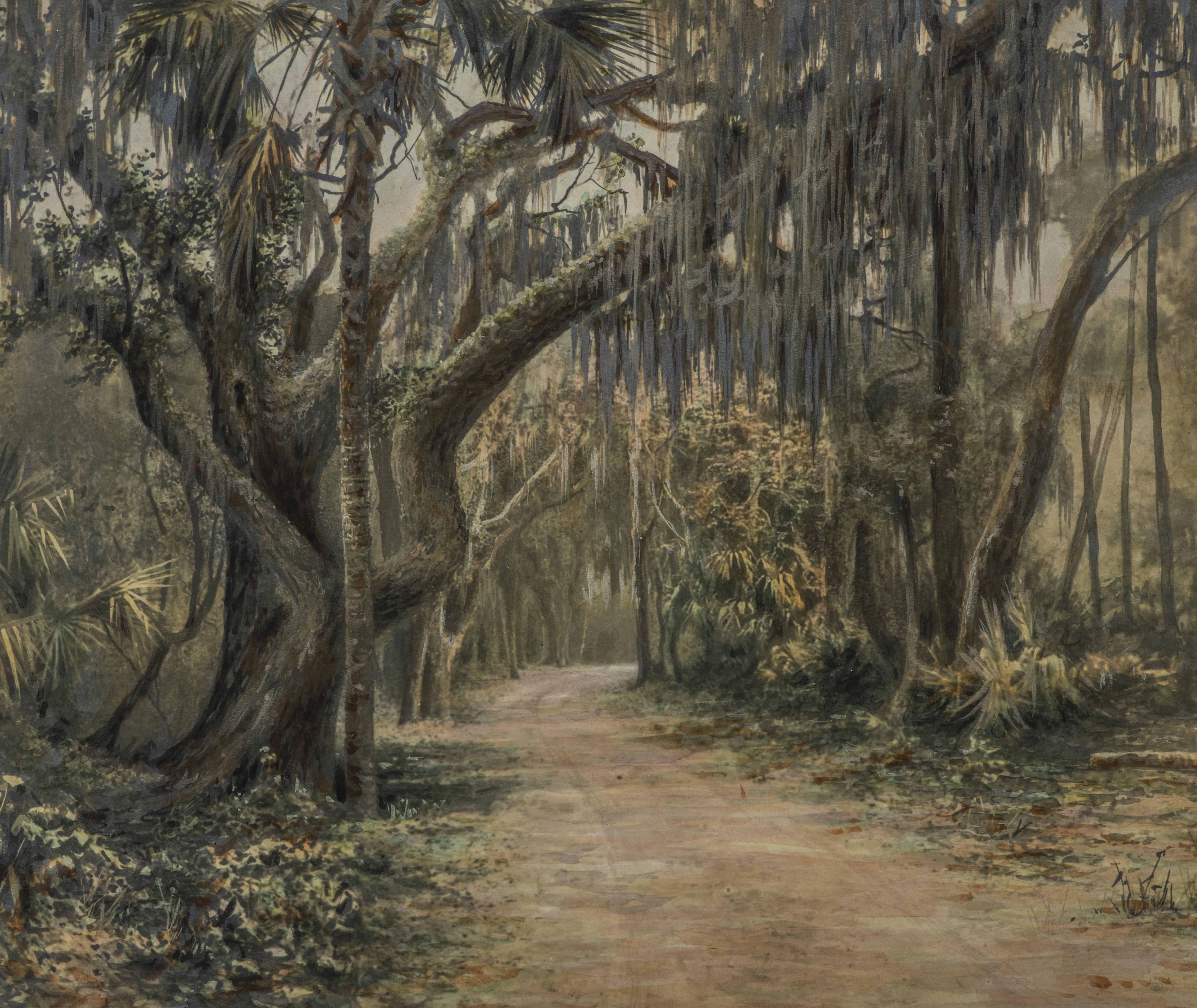 Wilcox, J. Ralph (1866–1915)