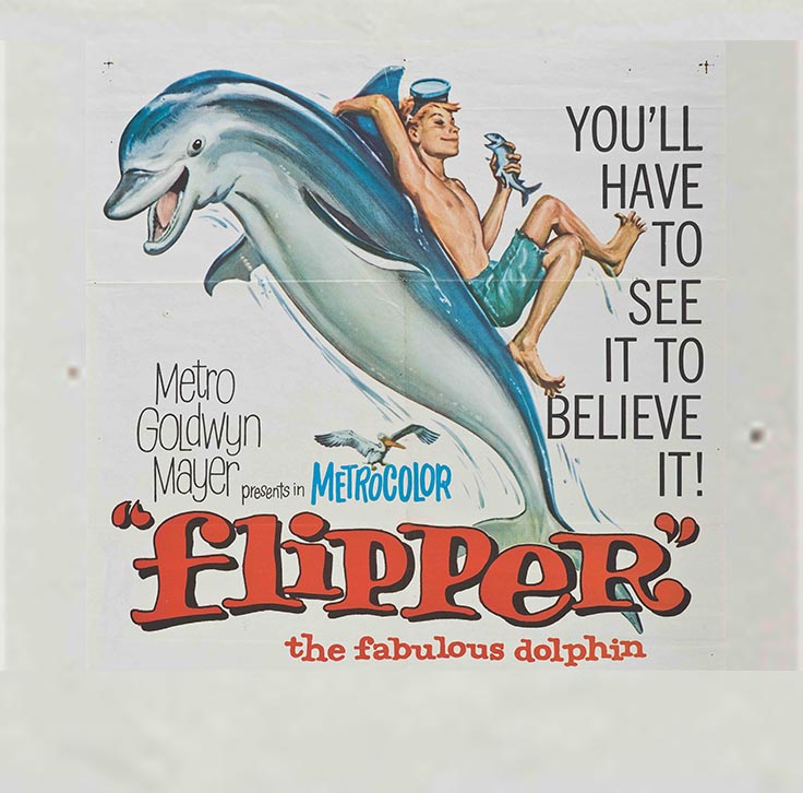 Florida Movie Posters