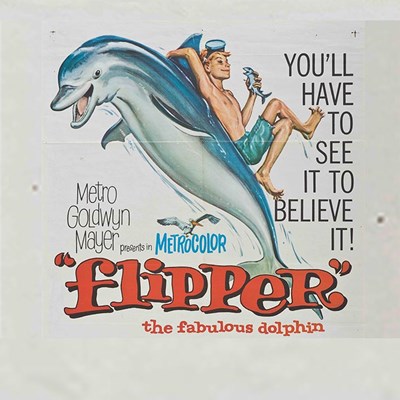 Florida Movie Posters