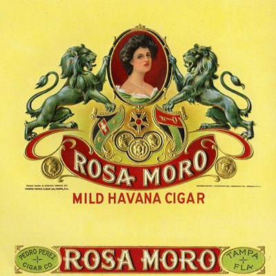 Rosa Moro