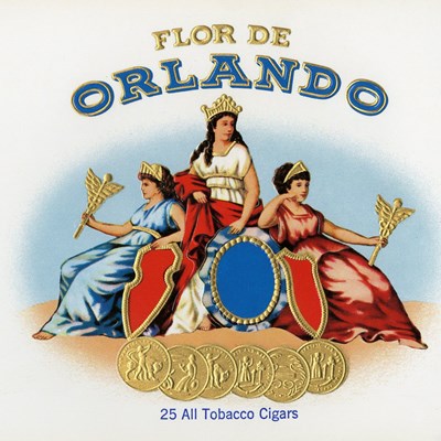 Flor de Orlando