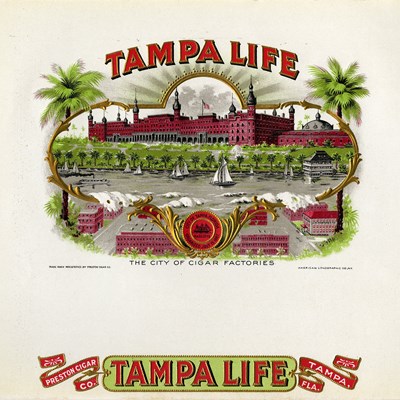 Tampa Life