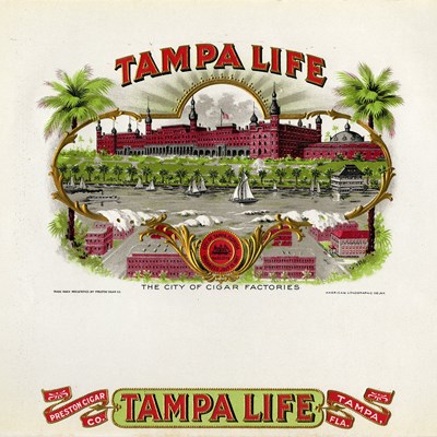 Tampa Life