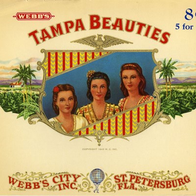 Tampa Beauties