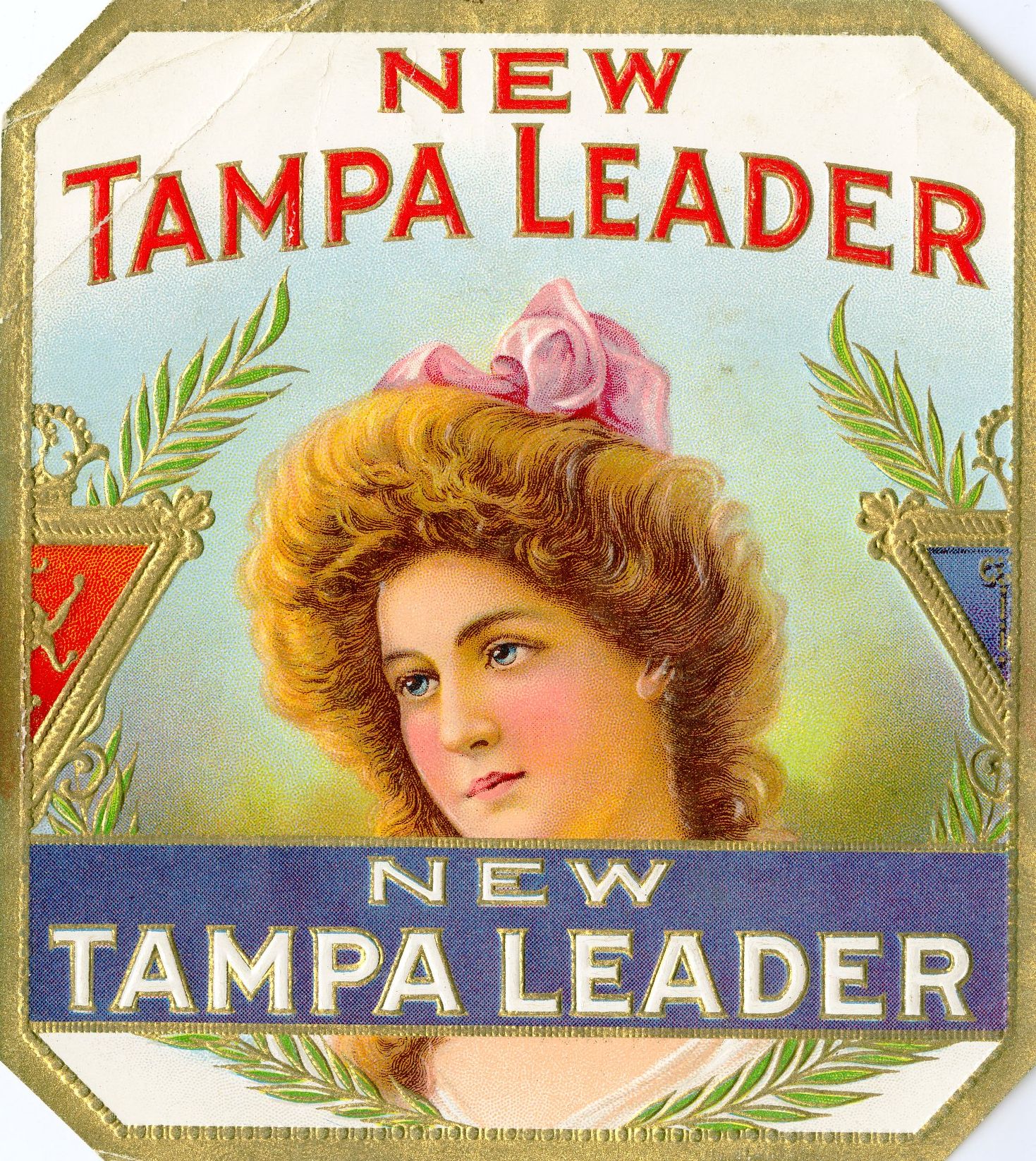 New Tampa Leader
