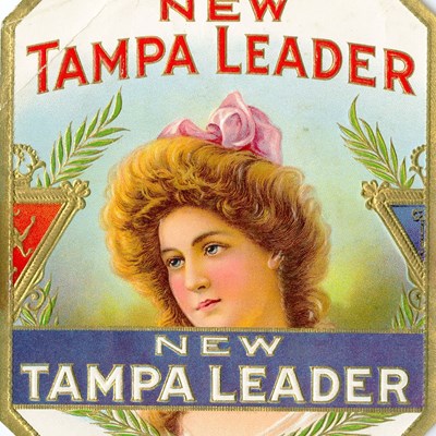 New Tampa Leader