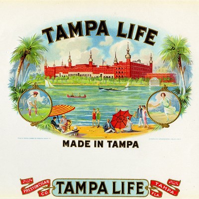 Tampa Life