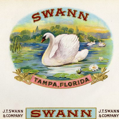 Swann