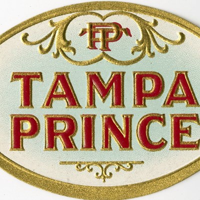 Tampa Prince
