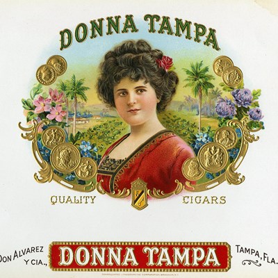 Donna Tampa