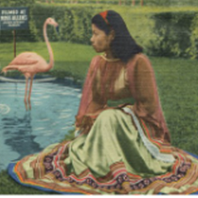 Seminole People of Florida: Survival and Success