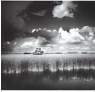 Visions of Florida: The Photographic Art of Clyde Butcher