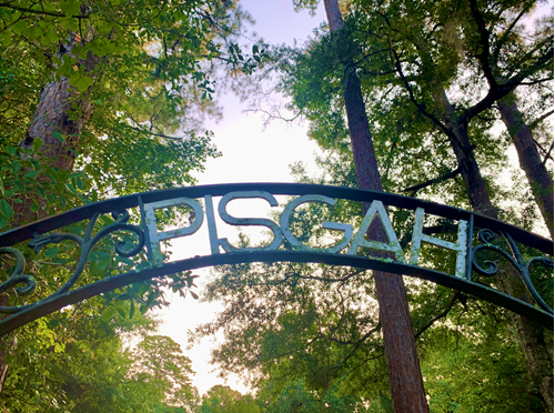 Pisgah metal archway sign leading into church cemetery, 2023 Courtesy of Michelle Hearn