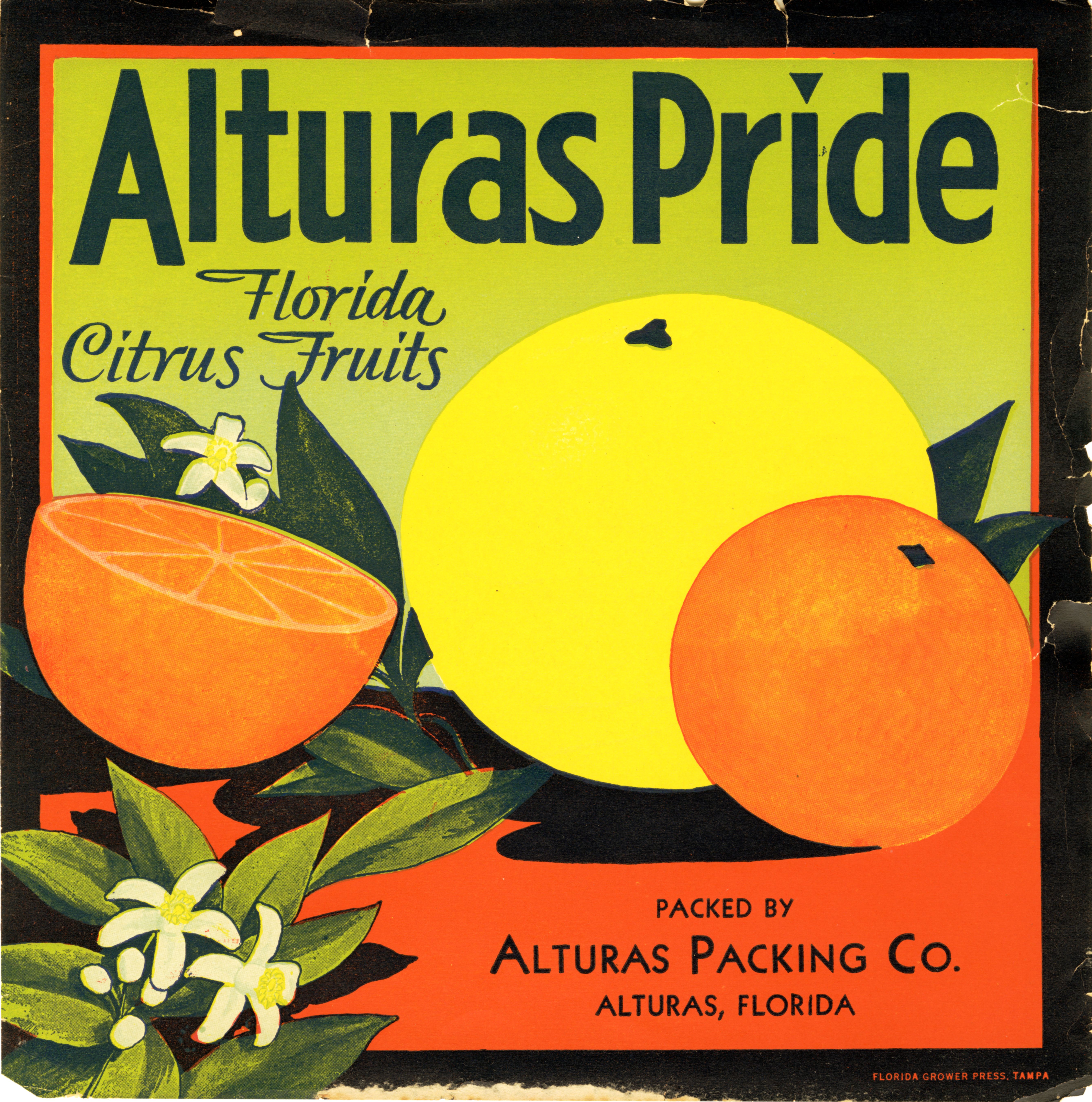 Alturas Pride