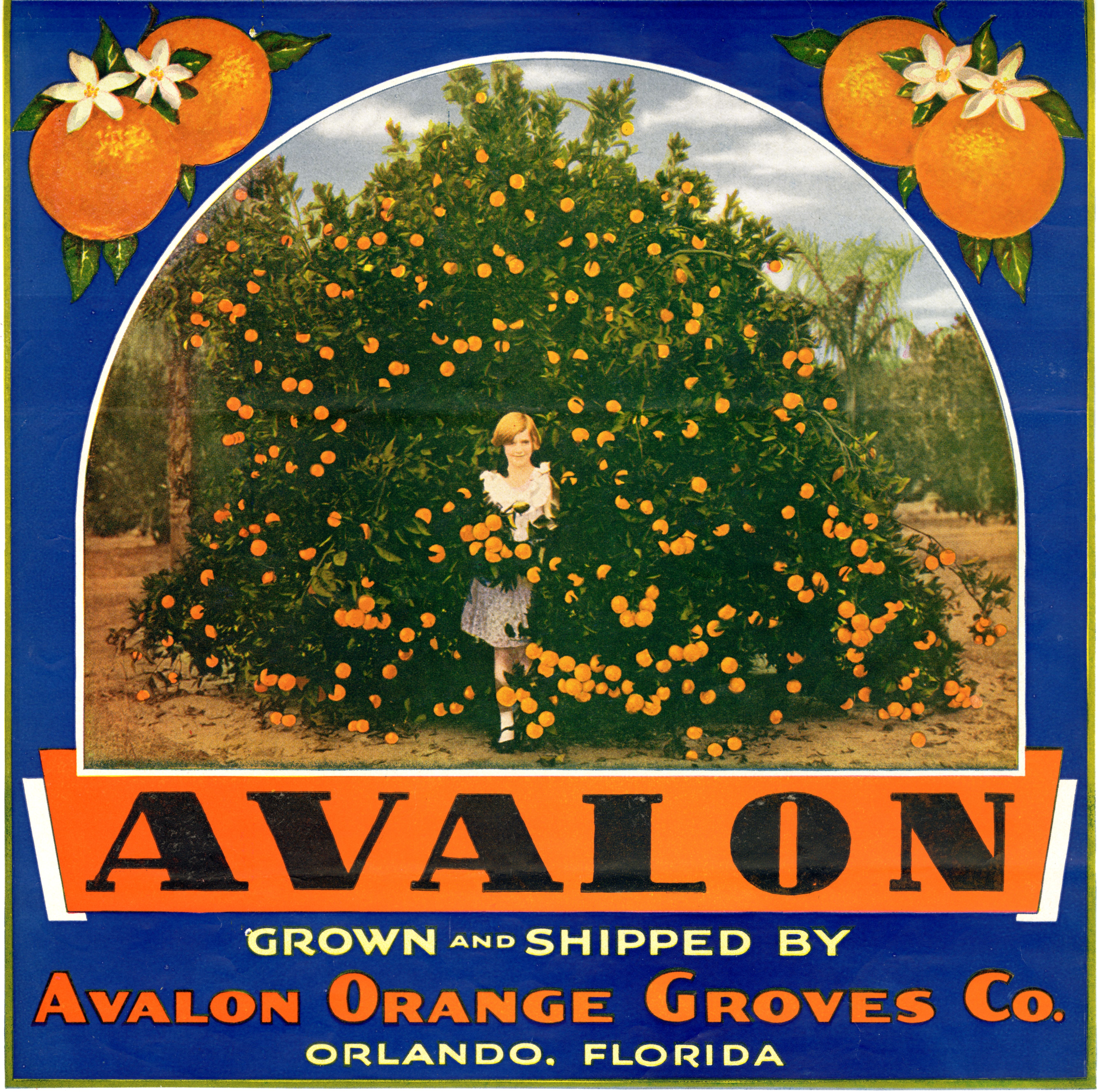 Avalon
