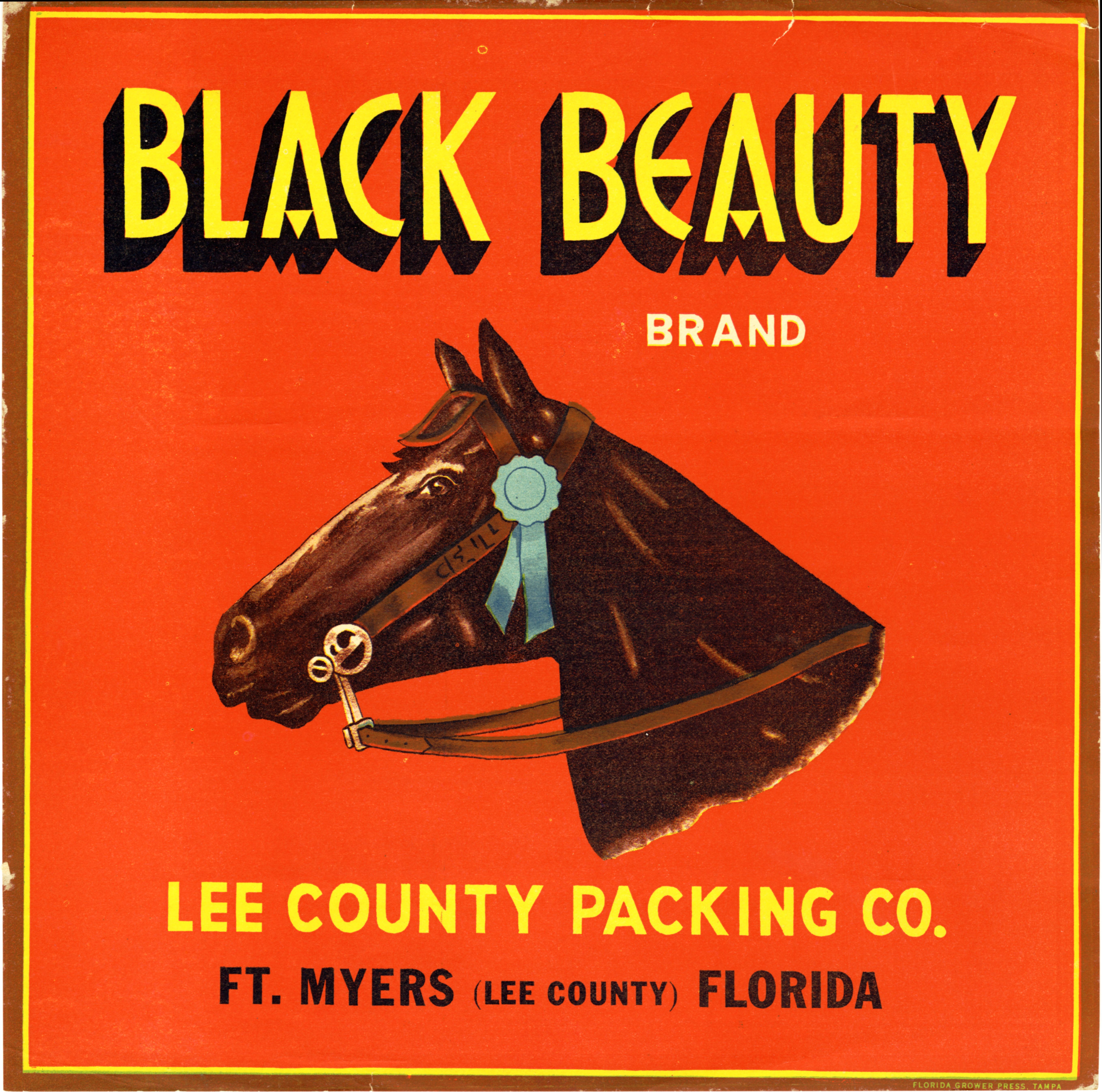 Black Beauty Brand