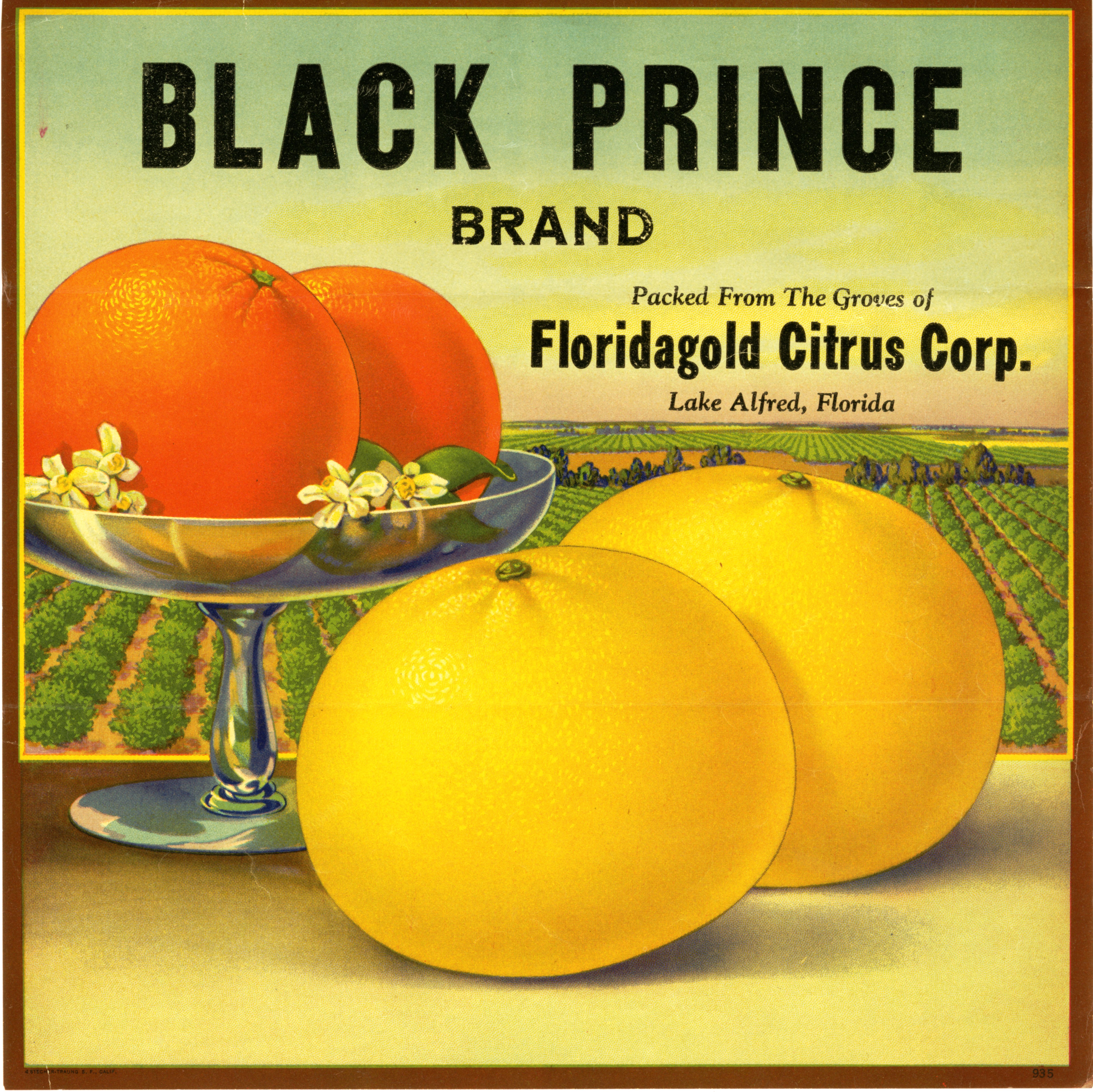 Black Prince Brand