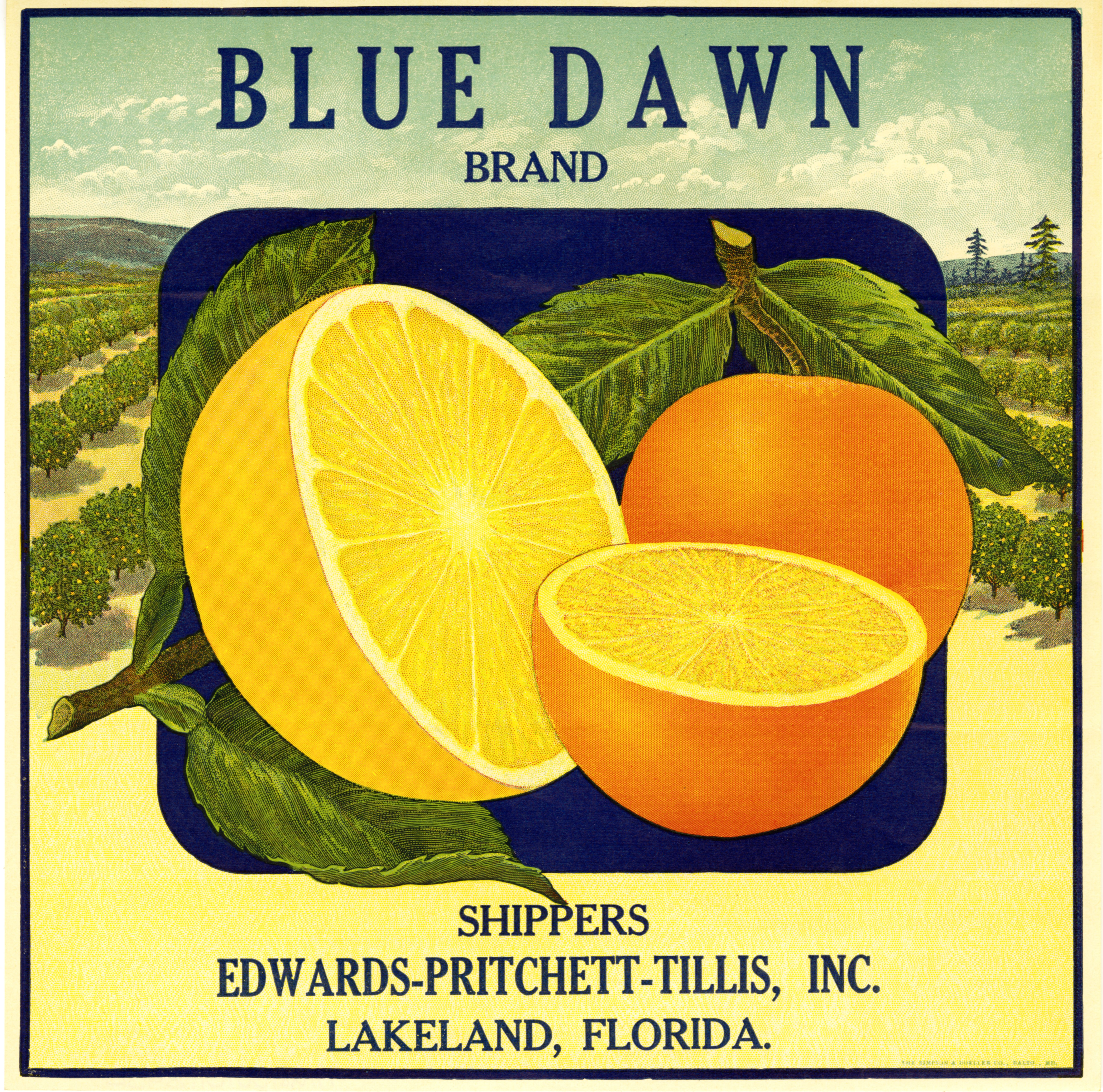 Blue Dawn Brand
