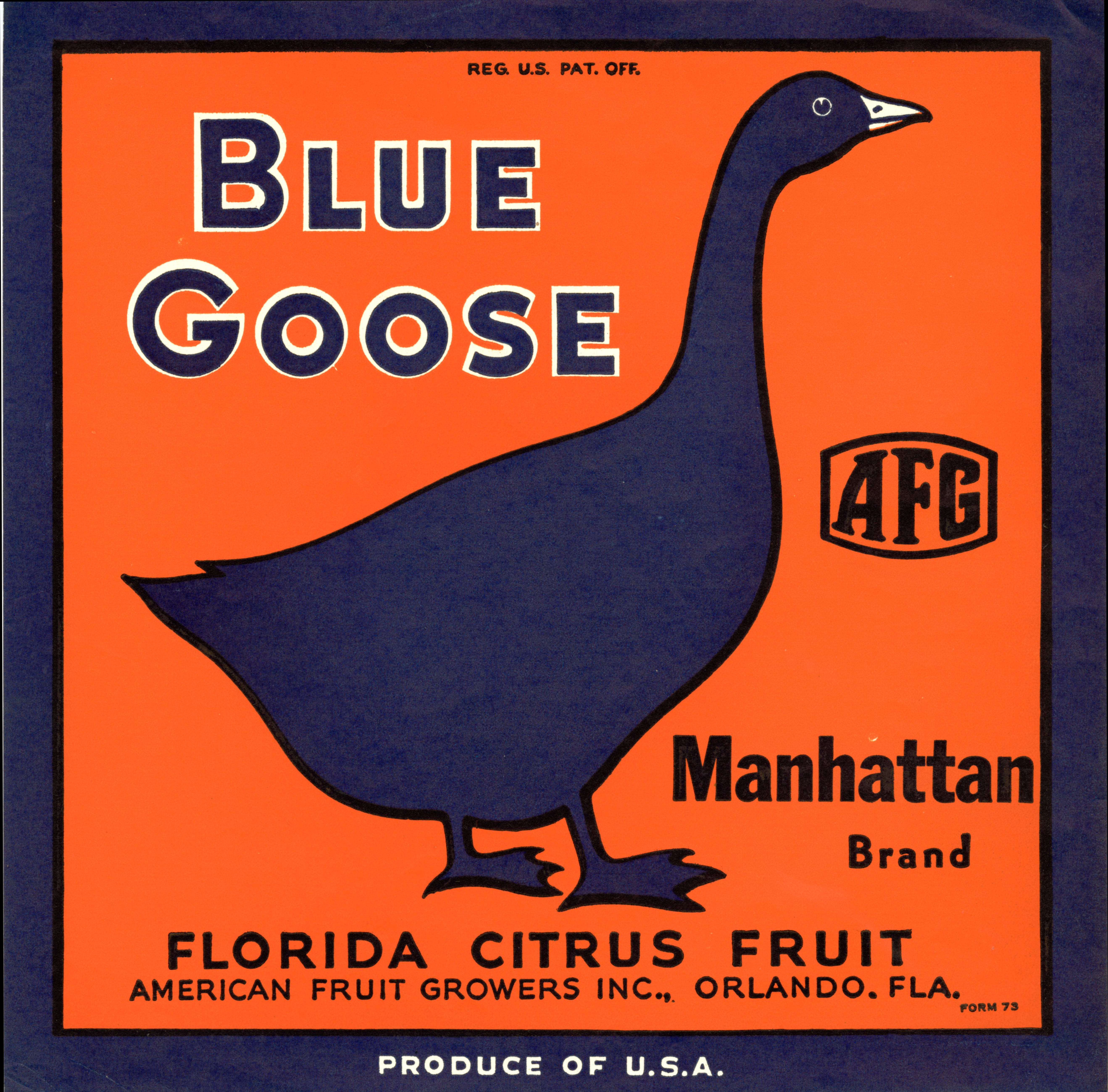 Blue Goose